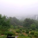 김숙자축사 이미지