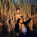 국립기록실에 올라온 베트남의 한국인: 무시할 수 없는 힘 이미지