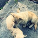 멍돌이와 멍순이 이미지