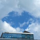 띡자님🤴🏻❤️ 한번만 읽어주세요 진자 제발요… 이미지