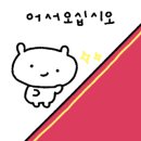 애플코코
