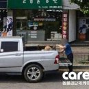 병원농장 이미지