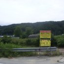 광판1리 Daum카페