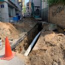 코아&2060 이미지