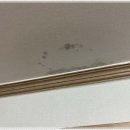 비전5로 이미지