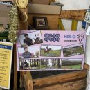 에코승마아카데미 이미지