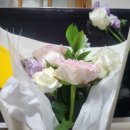 인쌩맥주 성신여대점 | 24년 3월 일기(2): 나진(짜)잘먹(는다)