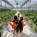 오렌지동화나라유치원 이미지