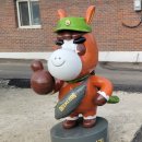 아침해협동조합 이미지