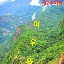 여우와늑대 이미지