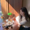 티스테이션 상무점 | [광주] 쌍촌동, 무난