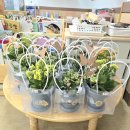 청계유치원 이미지