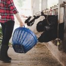 원창단미사료 이미지