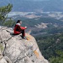 꽃봉산로 이미지