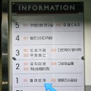 들려보개 펫살롱 이미지