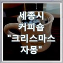 크리스마스자몽세종