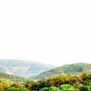 청천면 캠핑장 괴산후평숲캠핑 — 100년 소나무숲 힐링 3가지 물놀이 즐기기