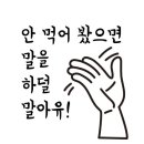 태권 슐레 이미지