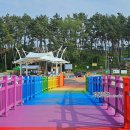 함평돌머리해수찜치유센터 이미지