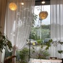 226 | [파주 송촌동] 러블리한 분위기의 파주 예카 우연히설렘