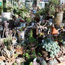 우리공판장 이미지