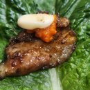 심쿵돼지 이미지