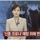 양재체육관 네이버블로그