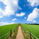 동선목장 이미지