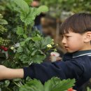 덕정농장 이미지