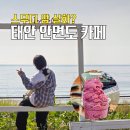 밧개플레이스 | 이 블루베리 스무디 실화? 태안 안면도 카페 오션뷰 맛집 바보 카페