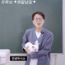 소하미