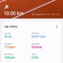 머슬허슬 | 영앤허슬에서 영앤머슬로