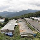 청림축산 이미지