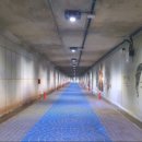 퇴계천길 이미지