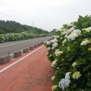 수국민박 이미지