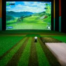 리버스크린골프 이미지