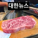 한우사랑동물병원 | 대구 대봉동 고기맛집 방천시장 대한뉴스