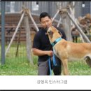 주식회사 보듬컴퍼니 이미지