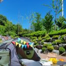 Book + Picnic 북크닉 이미지