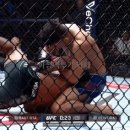 오늘자 UFC Fight Night 피니쉬 모음 이미지
