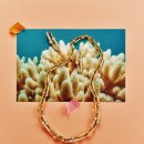 (주)하이네트웍 이미지