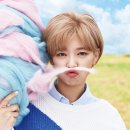 정연환경 이미지