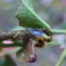 월계초교 이미지