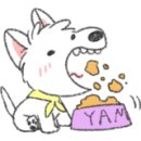 춘천대형약국 이미지