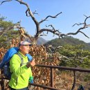 청풍명월 이미지