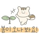 씨랜드펜션 이미지