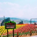(주)동백여행사