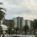 킹스헤어 | 제주 해비치호텔 킹스위트룸 2박3일 숙박 후기