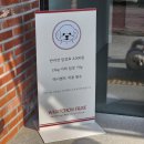 왓숑미용 이미지