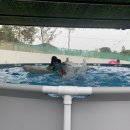 칠갑산황토펜션2 네이버블로그